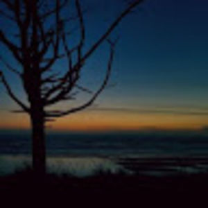 Meet your Posher, Suzanne